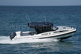 10m Naiad recreational vessel